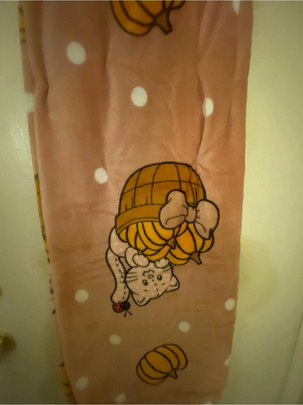 Strawberry Shortcake Fall Autumn Pumpkins Plush Throw NWT